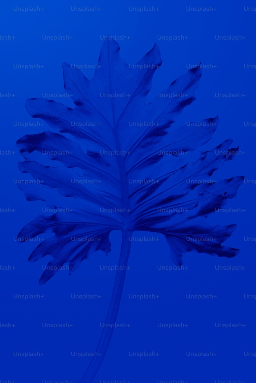 我国首座大型海上浮式液化天然气出产设备启航